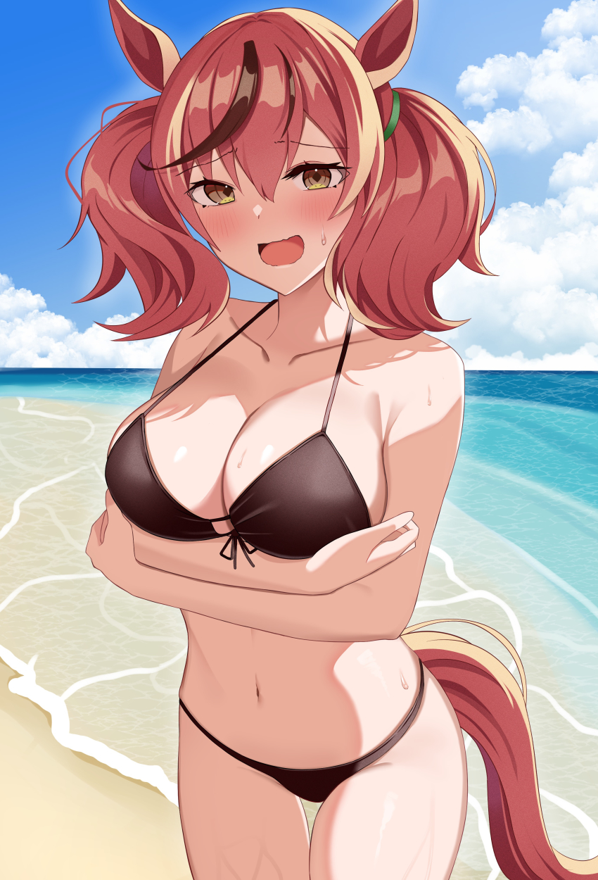 Nice Nature (Umamusume) Rule 34 Image