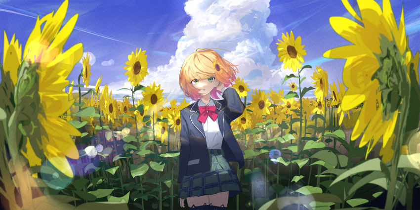 Honma Himawari (Nijisanji) Rule 34 Image