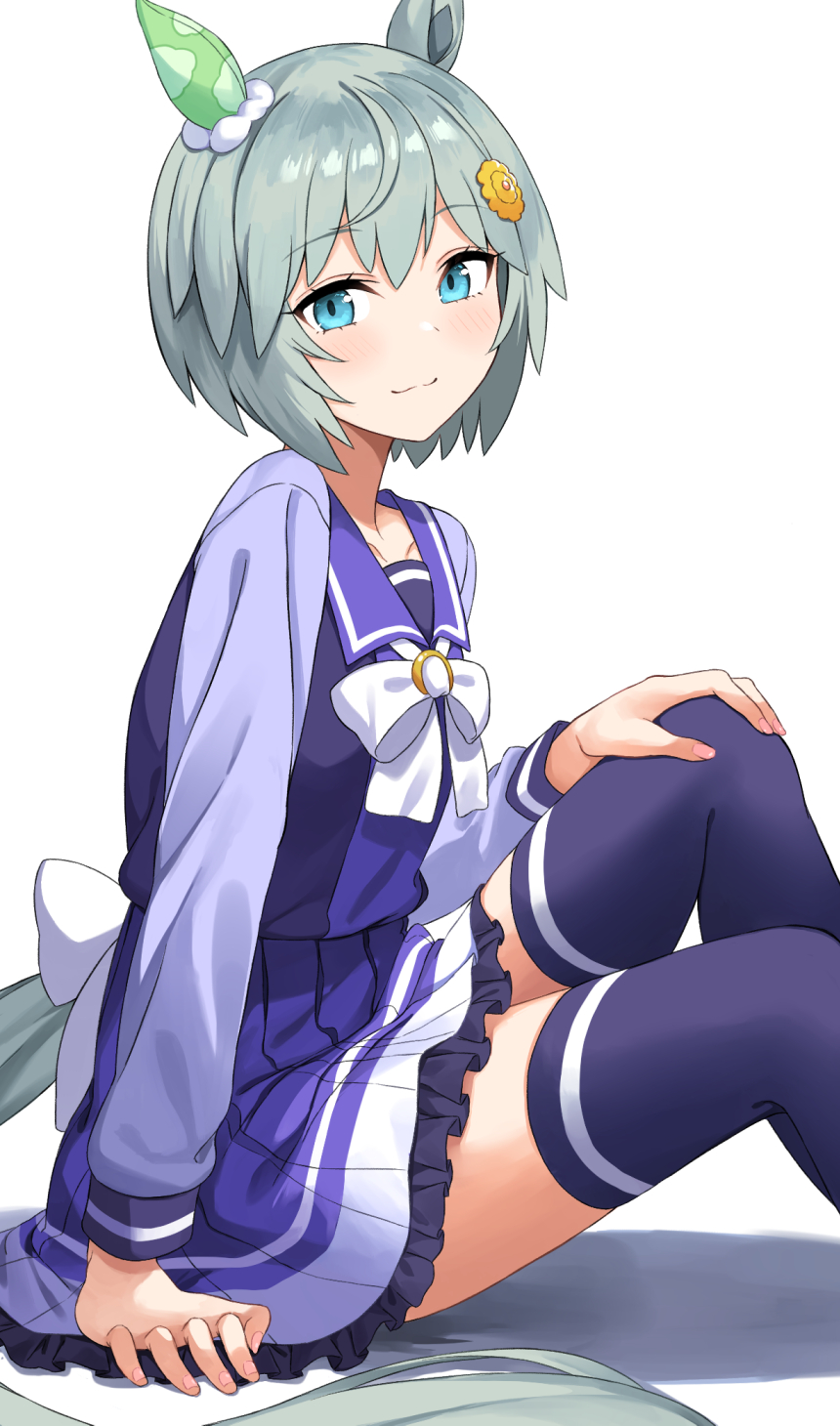Seiun Sky (Umamusume) Rule 34 Image