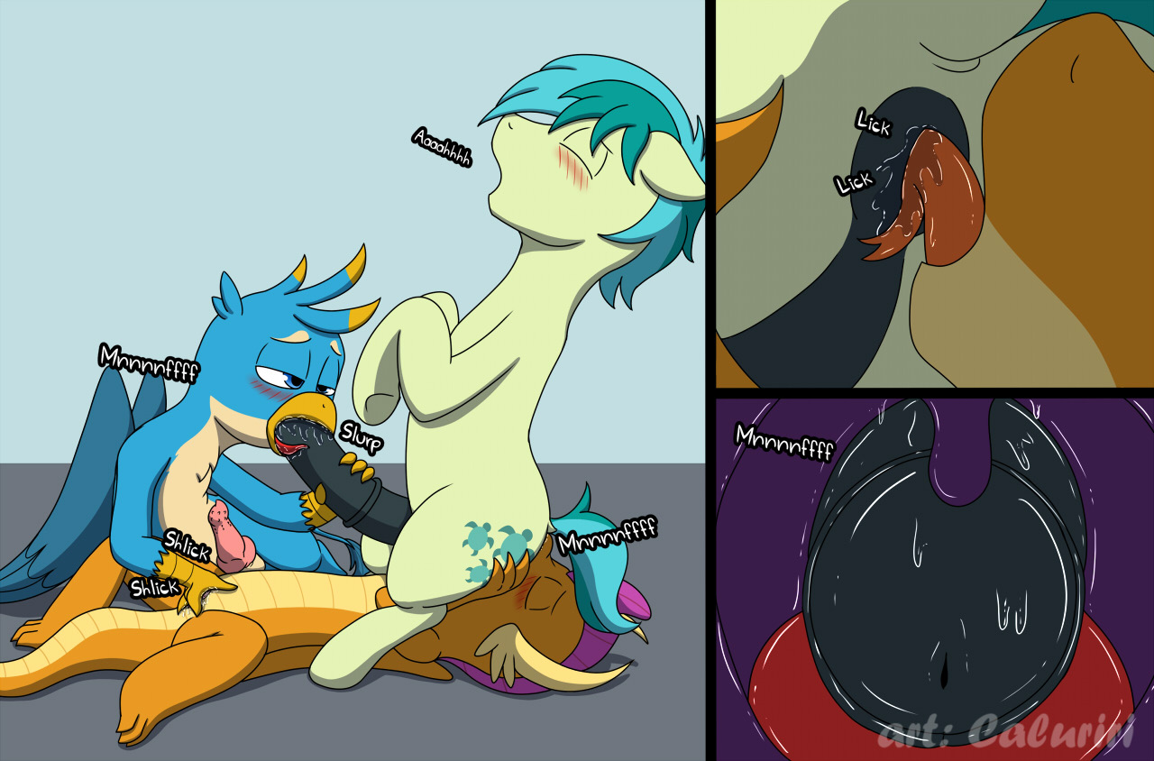 Gallus (Mlp) Rule 34 Image