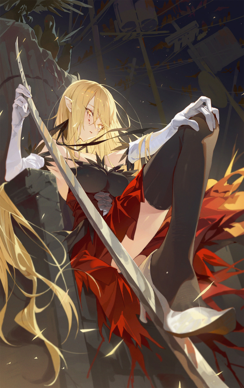 Kiss-Shot Acerola-Orion Heart-Under-Blade (Monogatari (Series)) Rule 34 Image