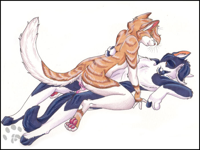 Anthro Rule 34 Image