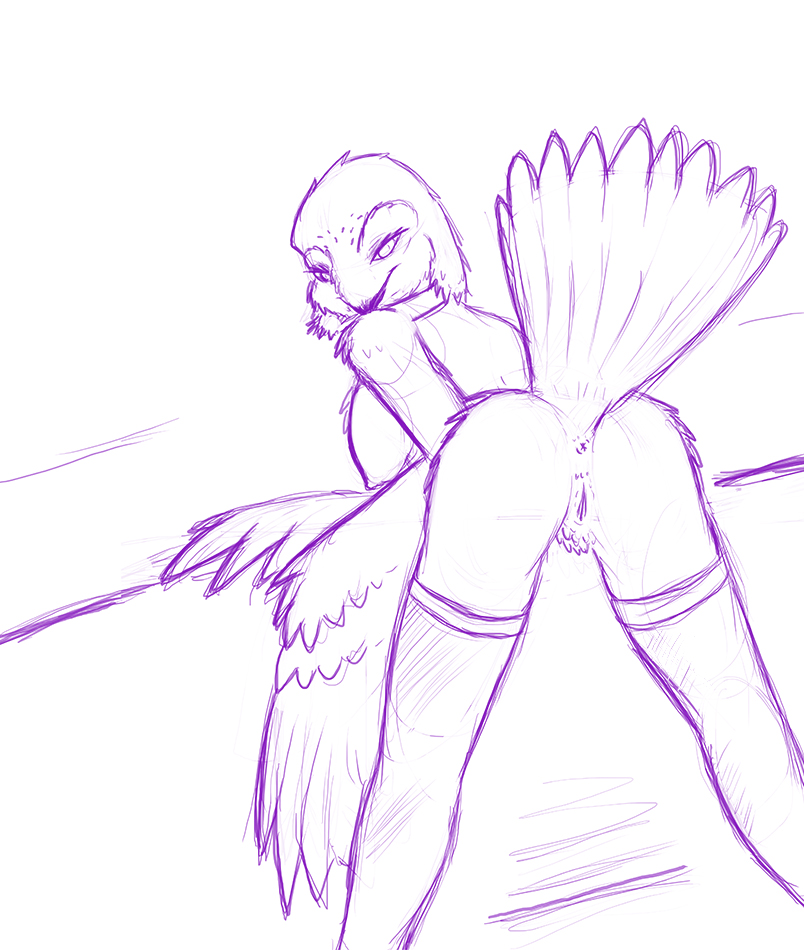 2011 Rule 34 Image