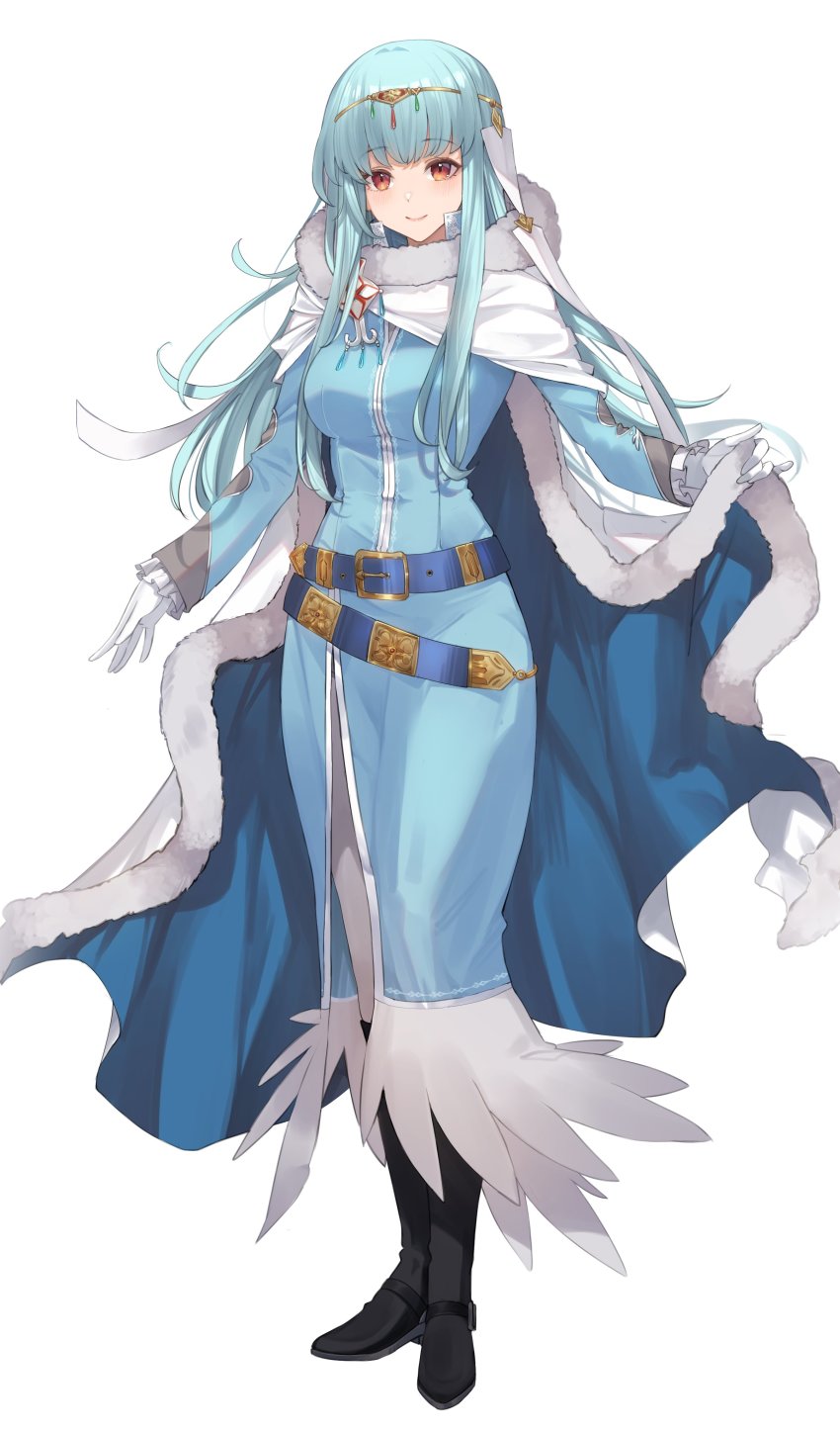 Eliwood (Fire Emblem) Rule 34 Image