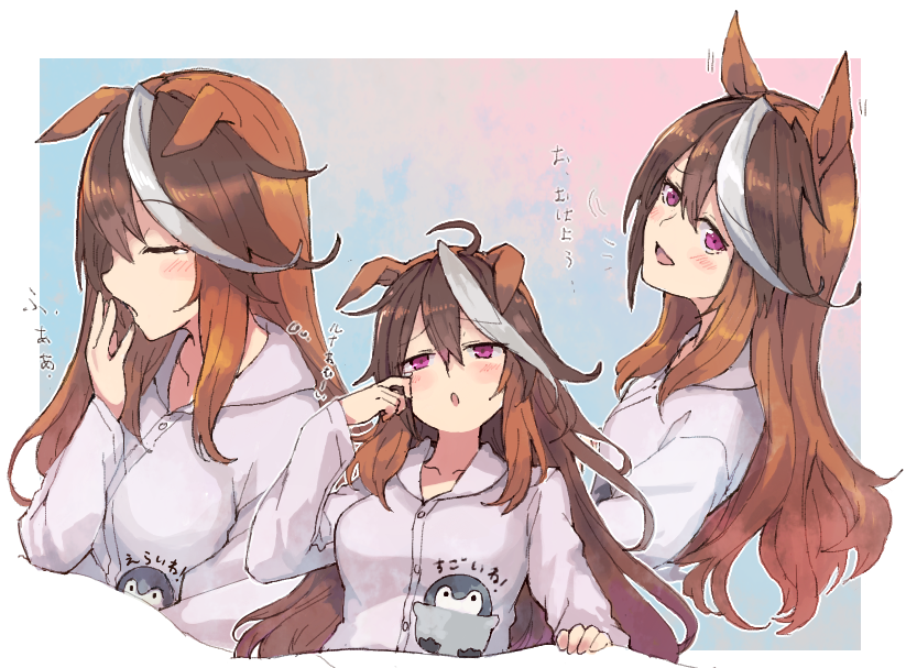 Symboli Rudolf (Umamusume) Rule 34 Image