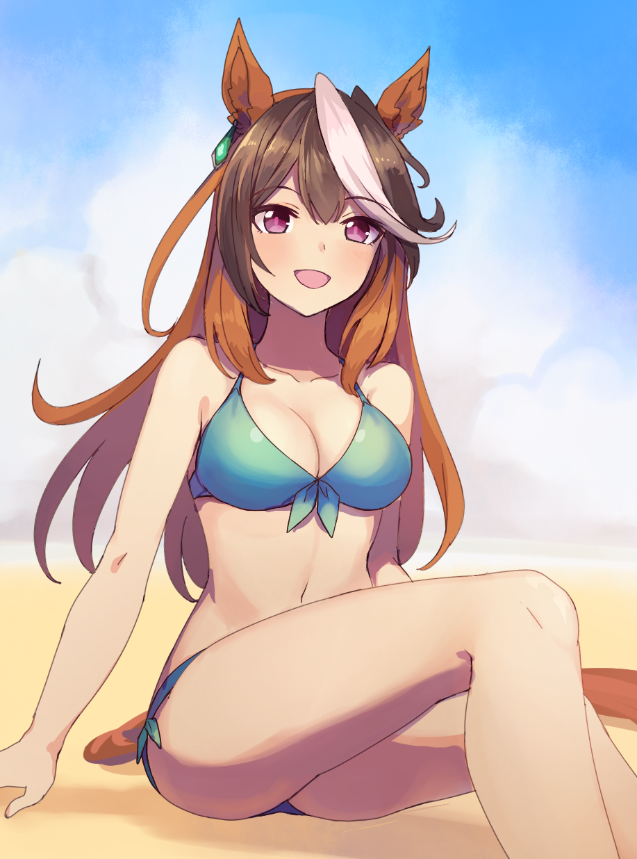 Symboli Rudolf (Umamusume) Rule 34 Image