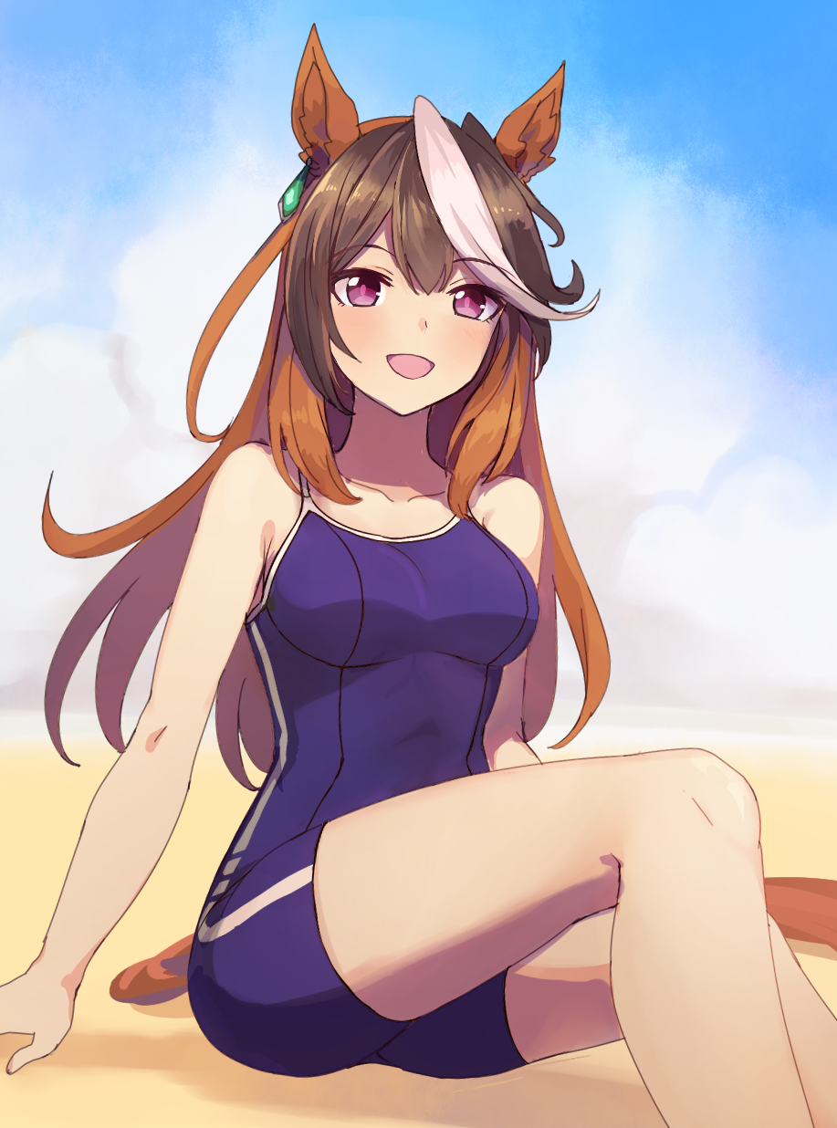 Symboli Rudolf (Umamusume) Rule 34 Image