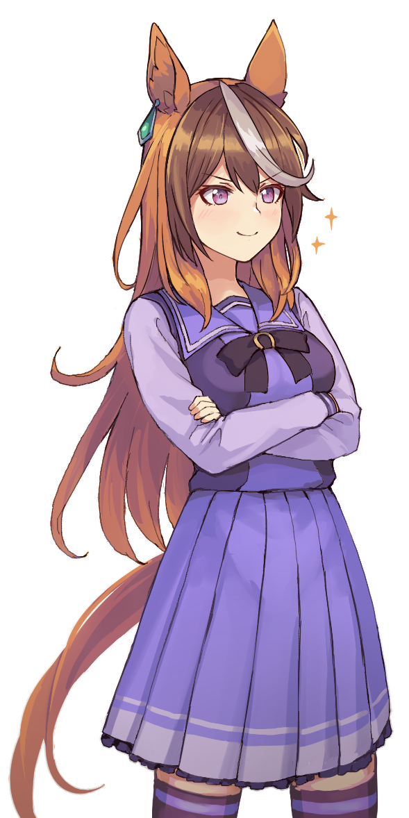 Symboli Rudolf (Umamusume) Rule 34 Image