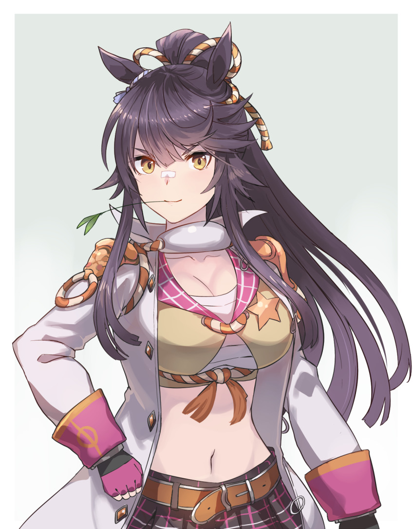 Narita Brian (Umamusume) Rule 34 Image