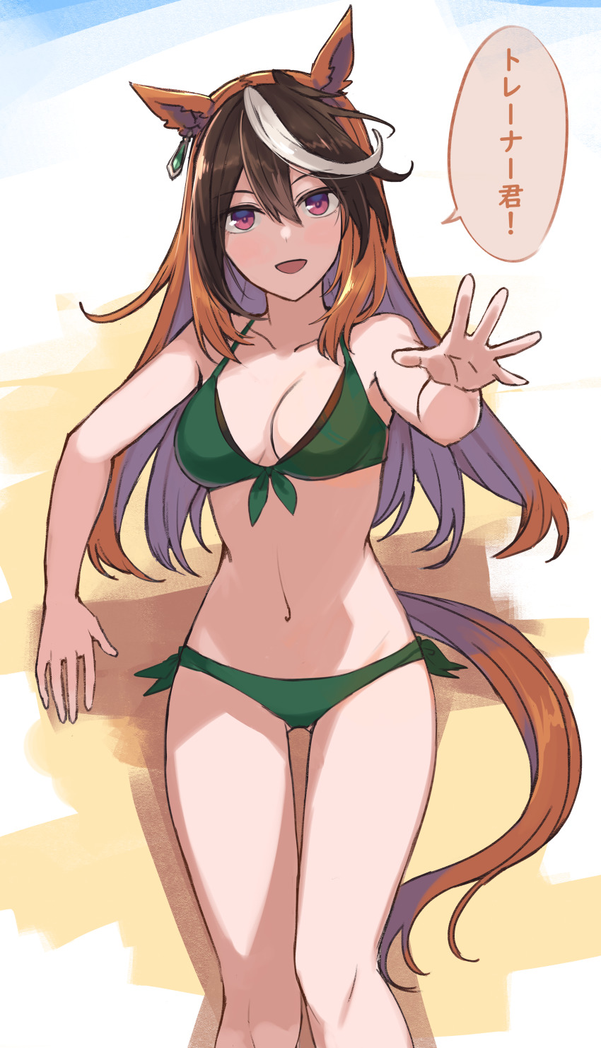 Symboli Rudolf (Umamusume) Rule 34 Image