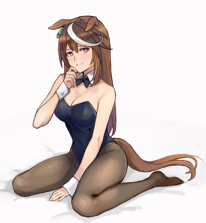 Symboli Rudolf (Umamusume) Rule 34 Image