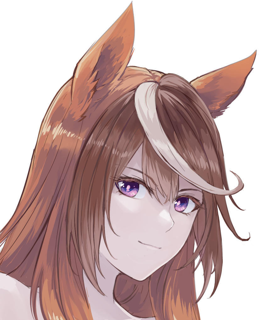 Symboli Rudolf (Umamusume) Rule 34 Image