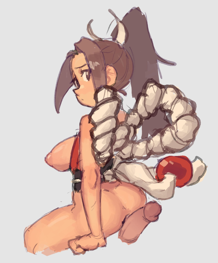 Mai Shiranui (Fatal Fury) Rule 34 Image