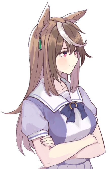 Symboli Rudolf (Umamusume) Rule 34 Image