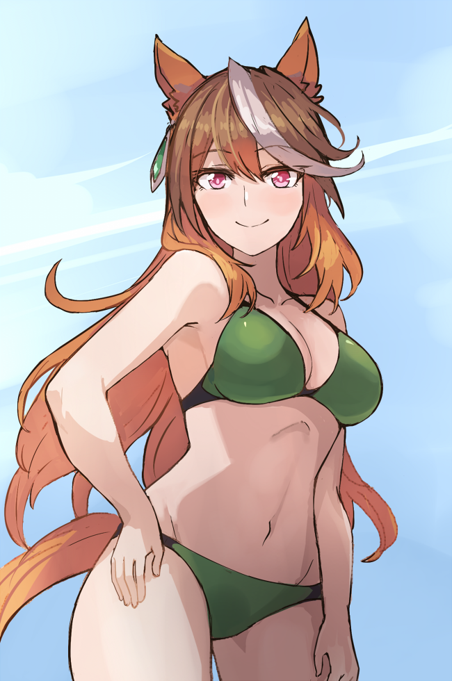Symboli Rudolf (Umamusume) Rule 34 Image