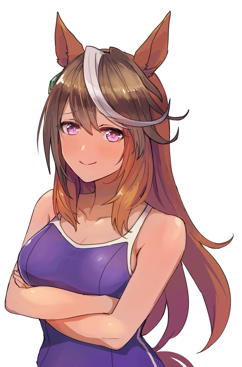 Symboli Rudolf (Umamusume) Rule 34 Image