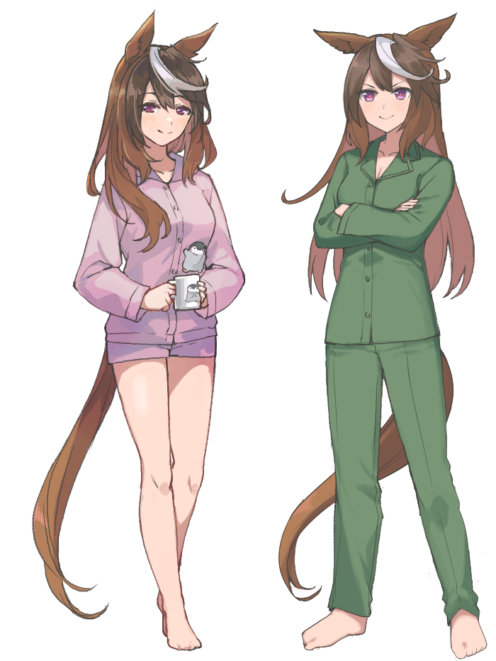 Symboli Rudolf (Umamusume) Rule 34 Image