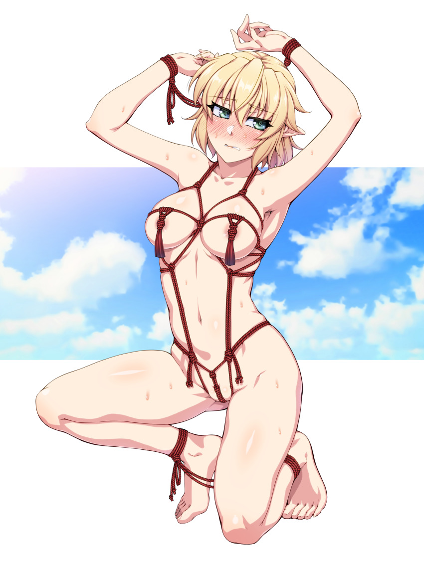 Mizuhashi Parsee (Touhou) Rule 34 Image