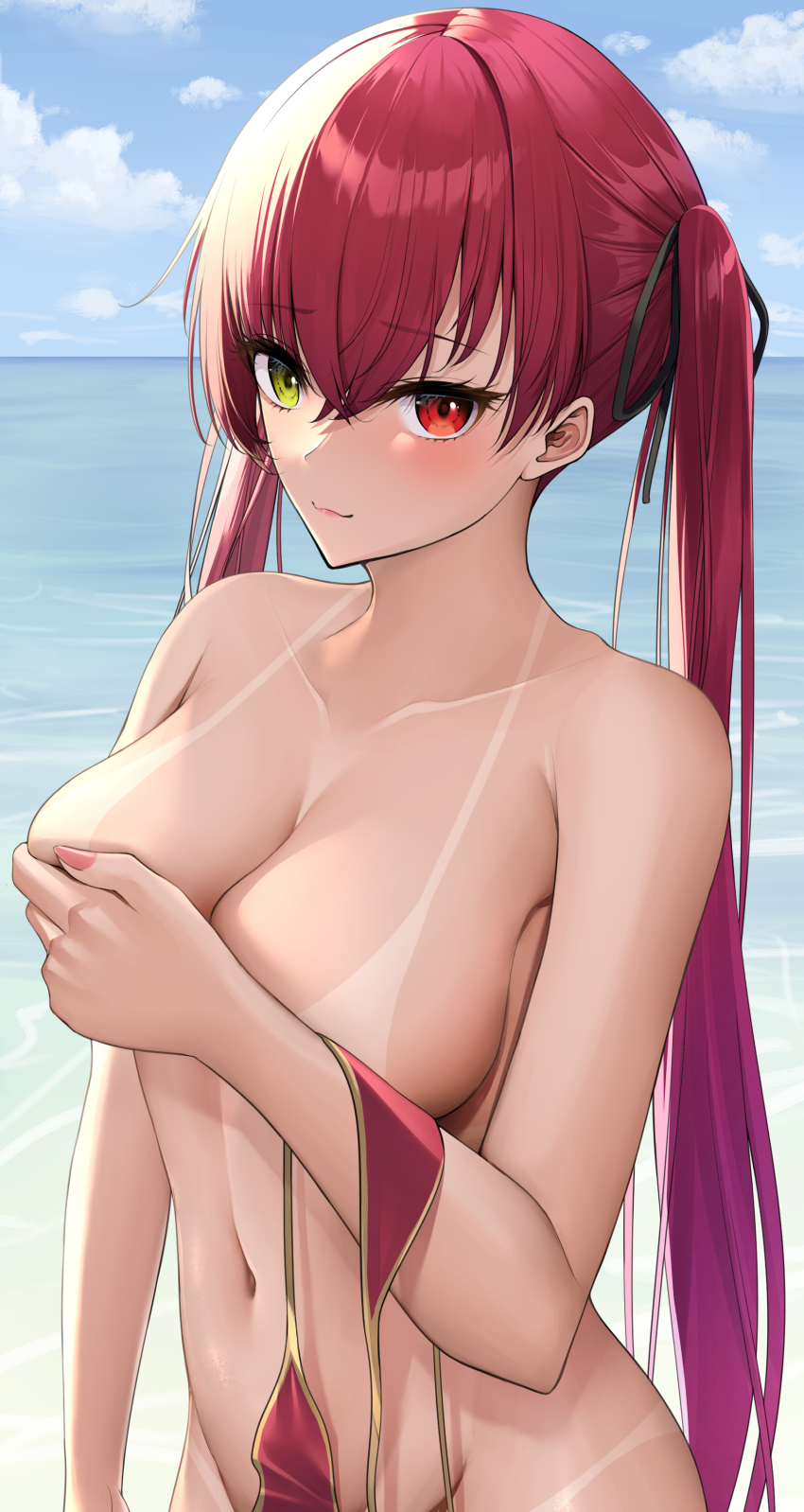 Houshou Marine (Hololive) Rule 34 Image
