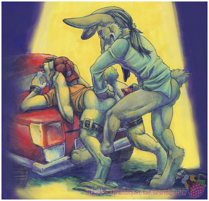 2011 Rule 34 Image