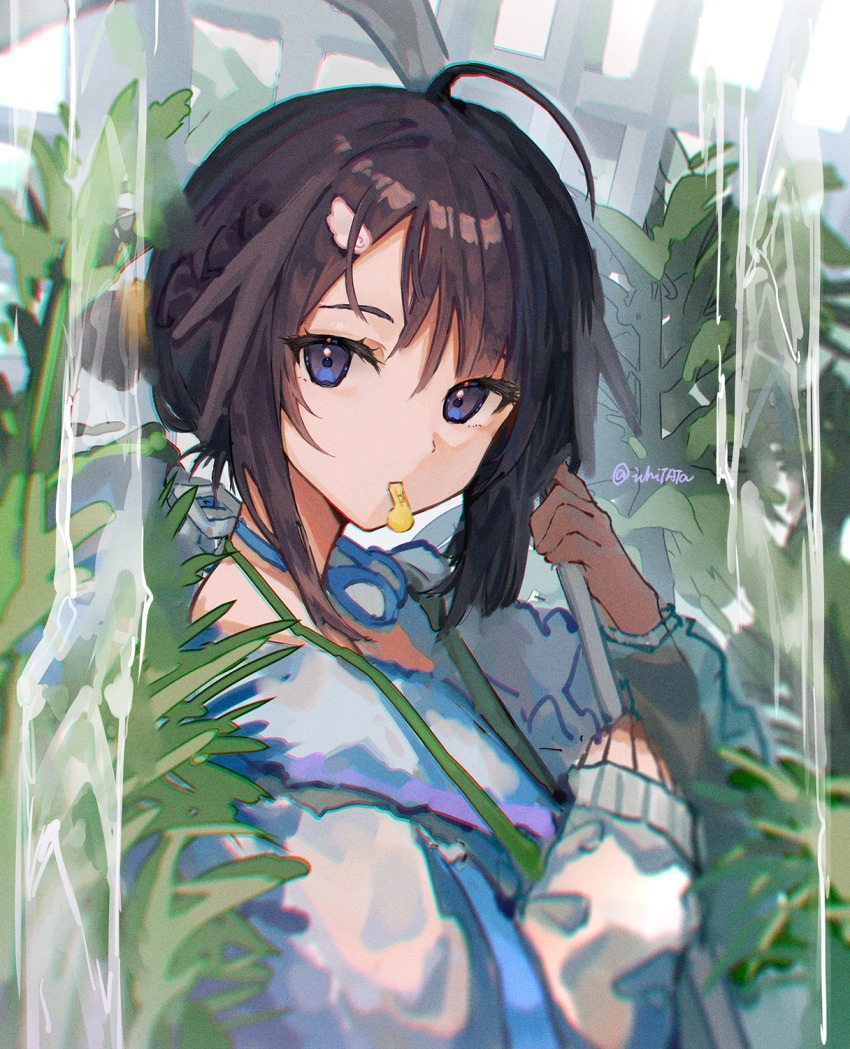 La Pluma (Arknights) Rule 34 Image