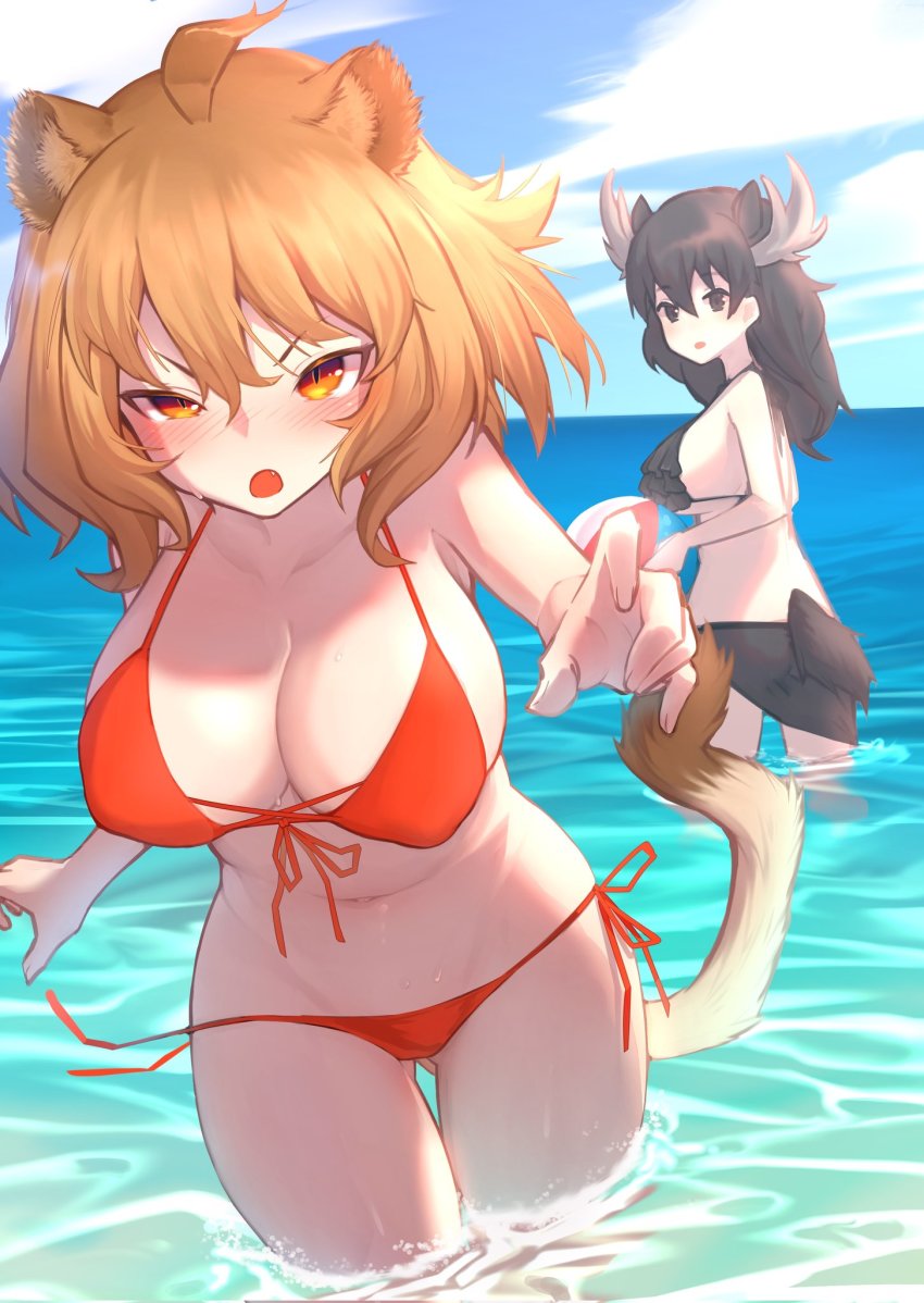 Lion (Kemono Friends) Rule 34 Image