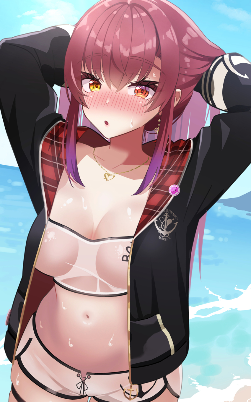 Houshou Marine (Hololive) Rule 34 Image