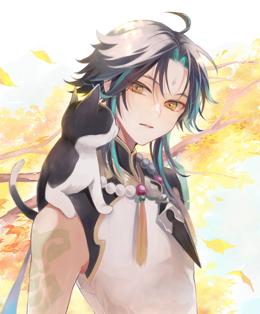 Xiao (Genshin Impact) Rule 34 Image