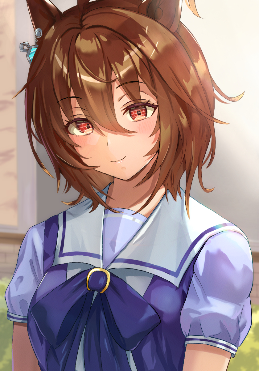 Agnes Tachyon (Umamusume) Rule 34 Image