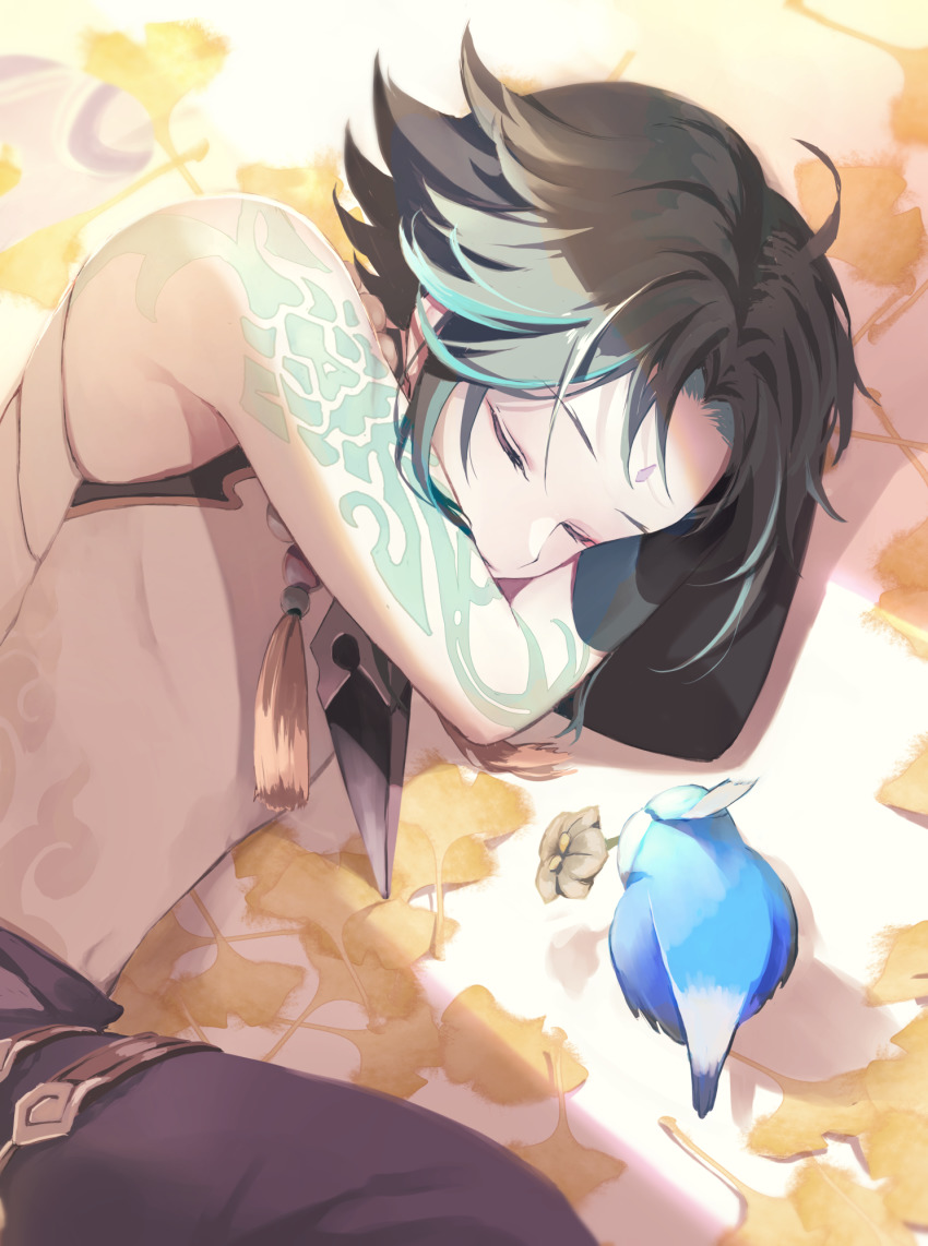 Xiao (Genshin Impact) Rule 34 Image