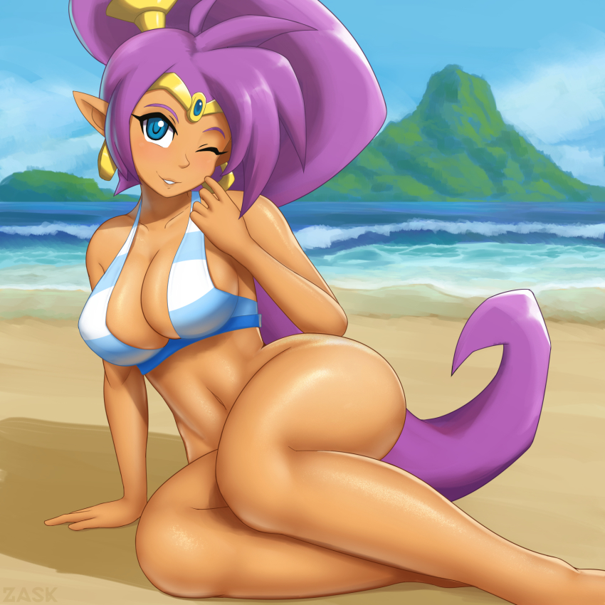 Shantae Rule 34 Image