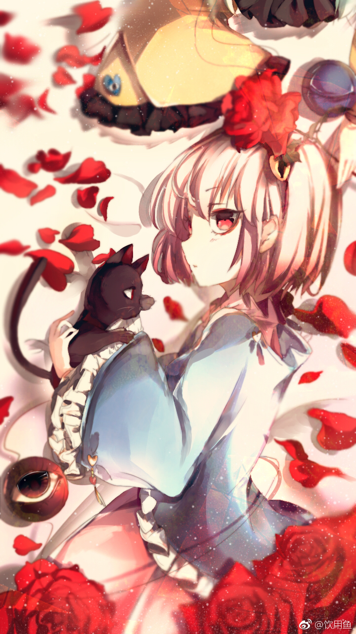 Kaenbyou Rin (Touhou) Rule 34 Image