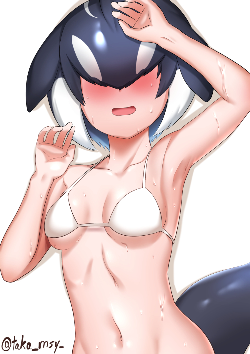 Kemono Friends Rule 34 Image
