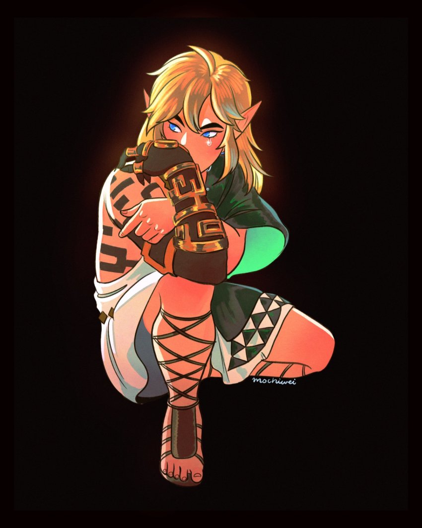 Link (Nintendo) Rule 34 Image