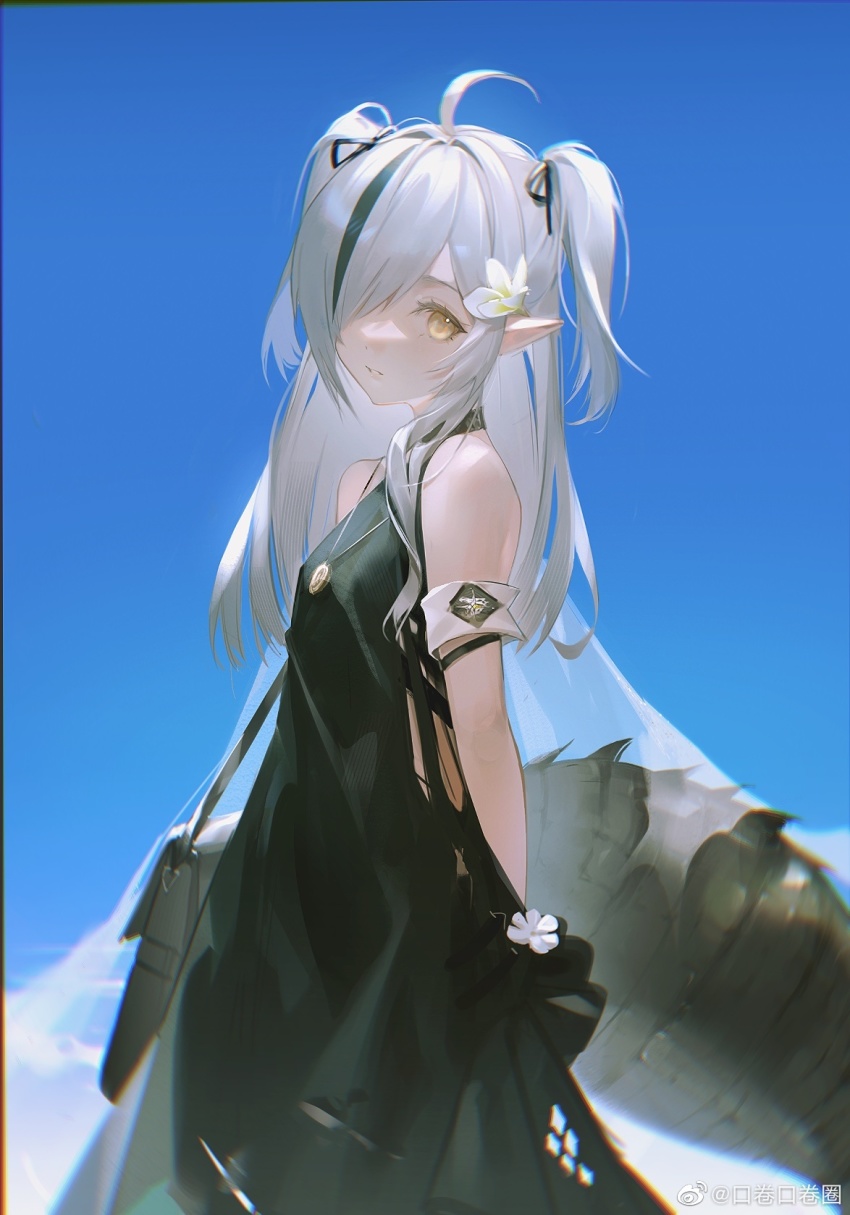 Tomimi (Arknights) Rule 34 Image