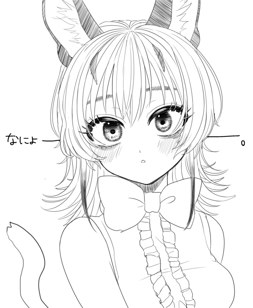 Caracal (Kemono Friends) Rule 34 Image