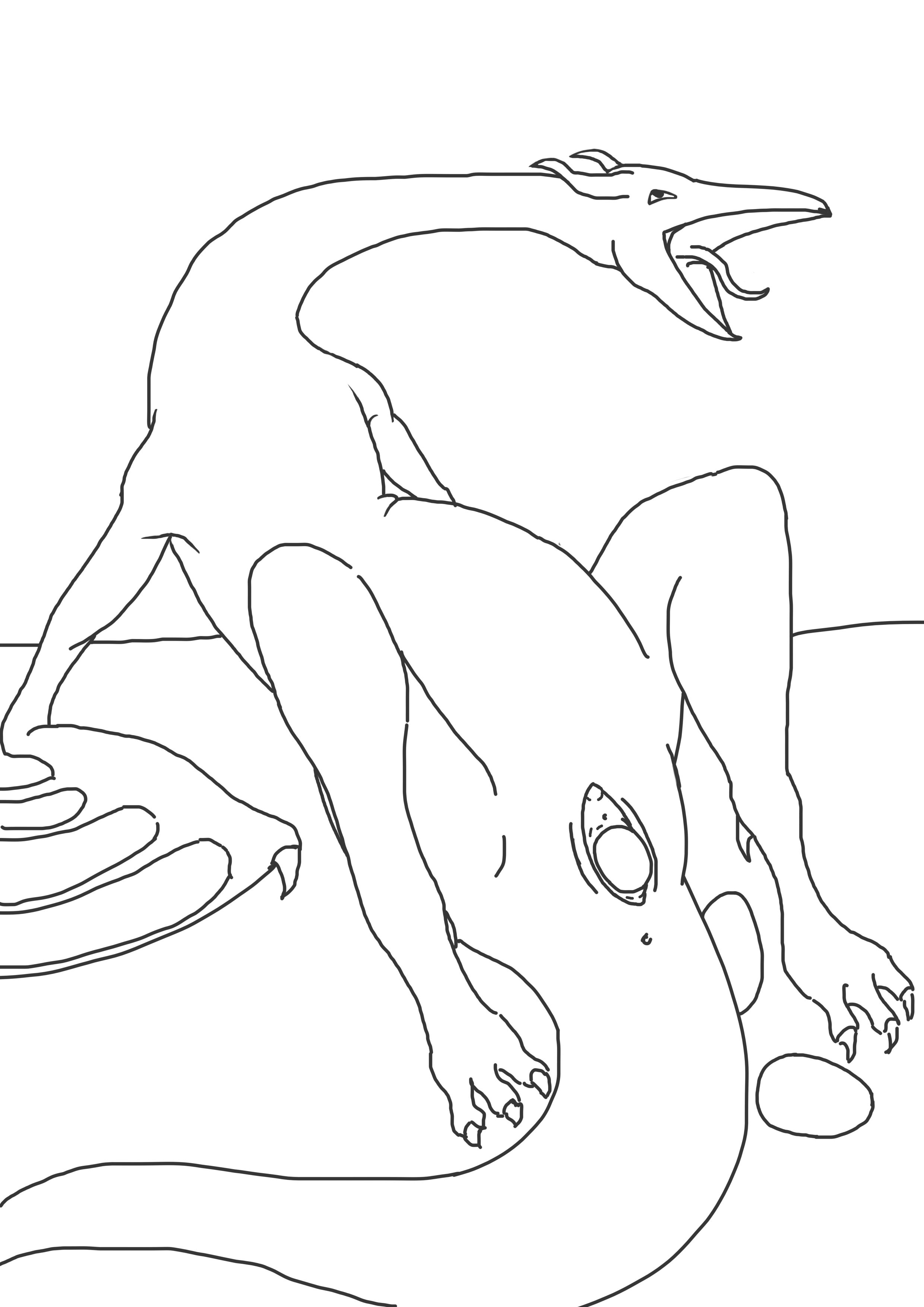 1girls Rule 34 Image