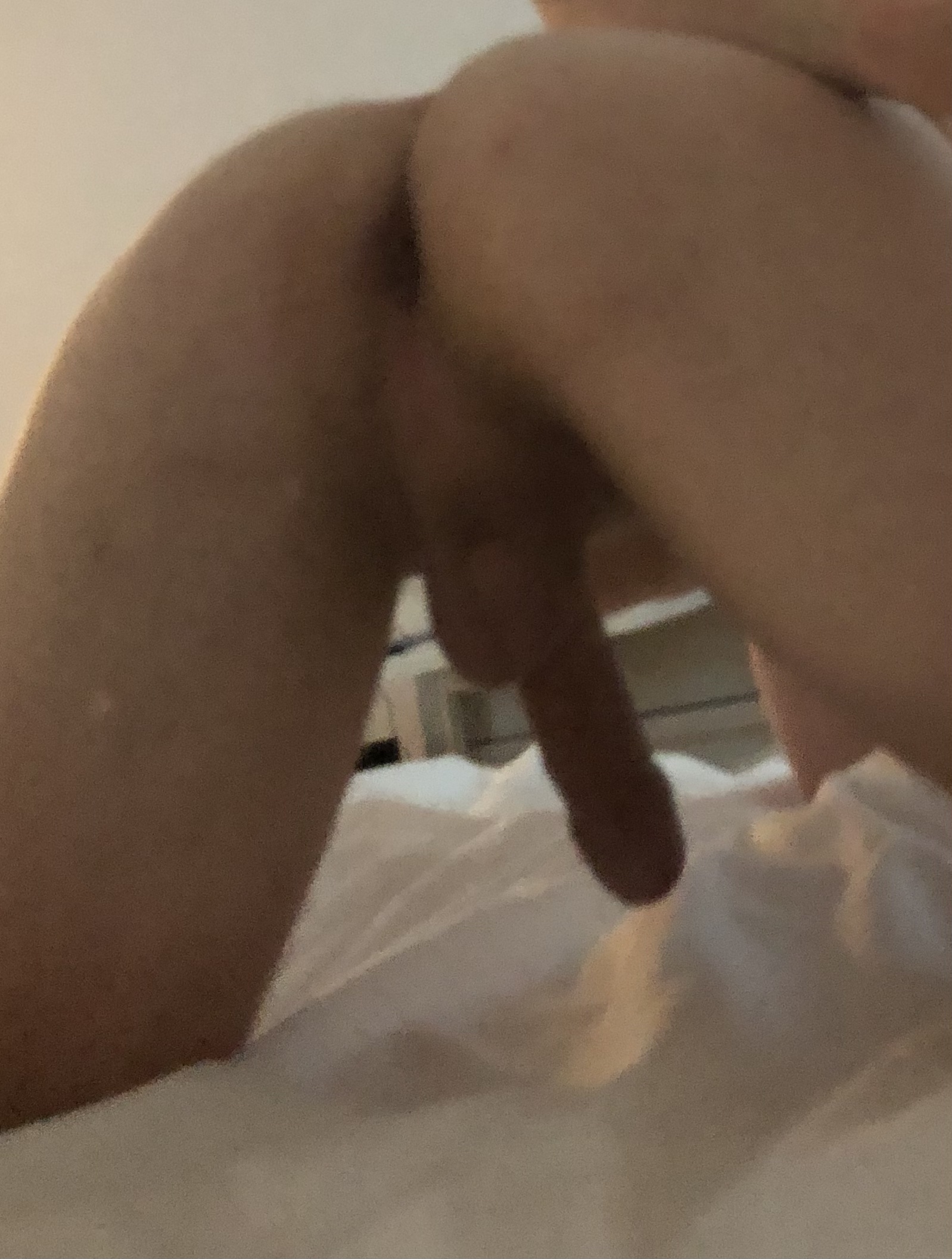 Anus Rule 34 Image