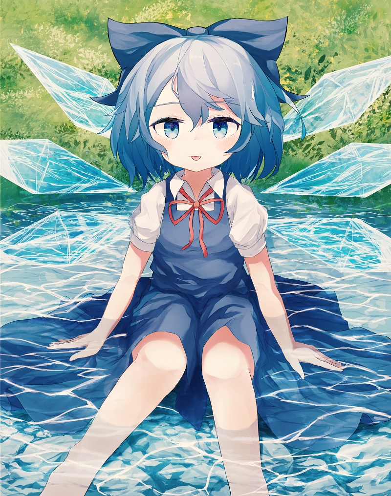 Cirno (Touhou) Rule 34 Image