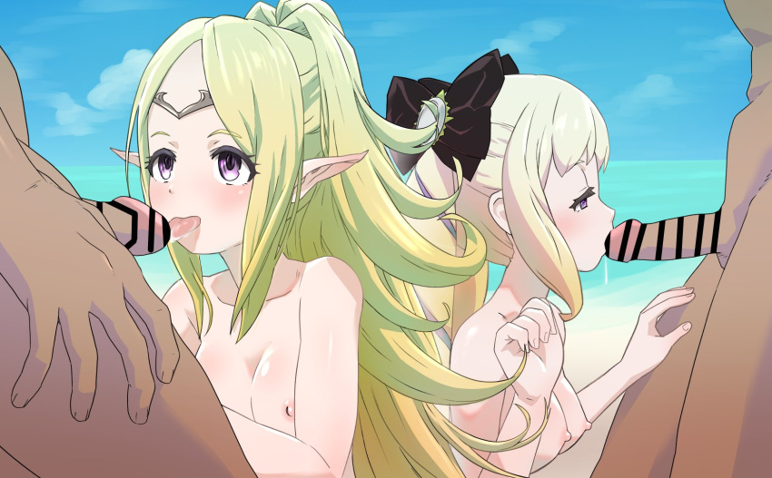 Elise (Fire Emblem) Rule 34 Image