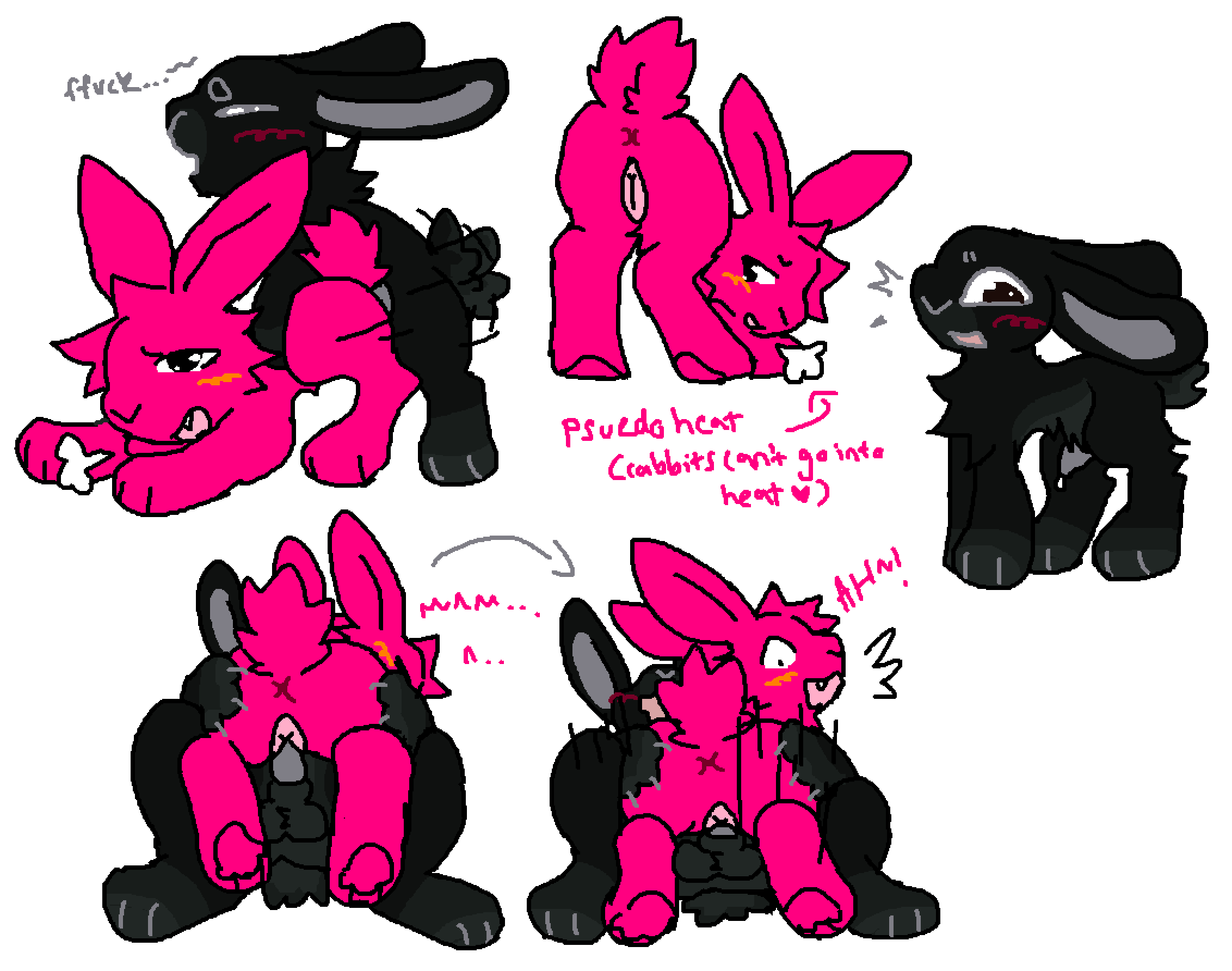Corey (Feralmunchies) Rule 34 Image