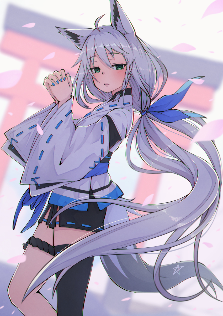 Shirakami Fubuki (Hololive) Rule 34 Image