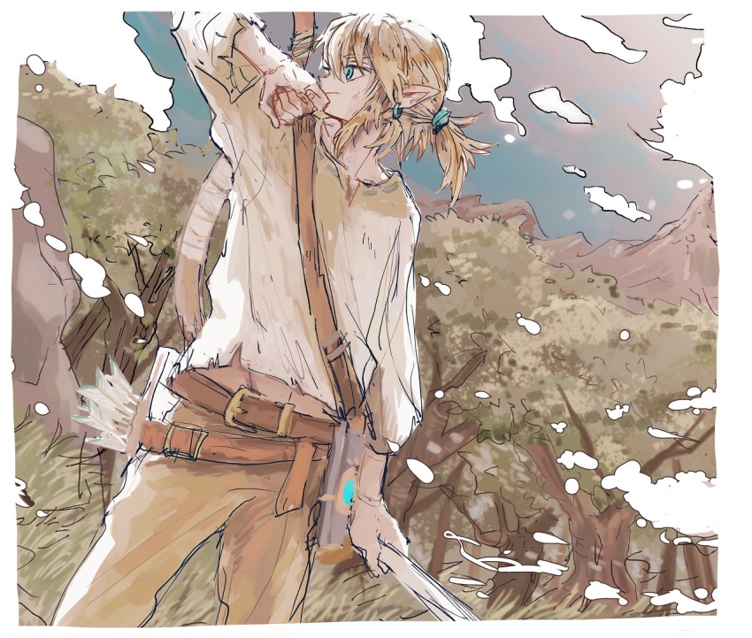 Link (Nintendo) Rule 34 Image
