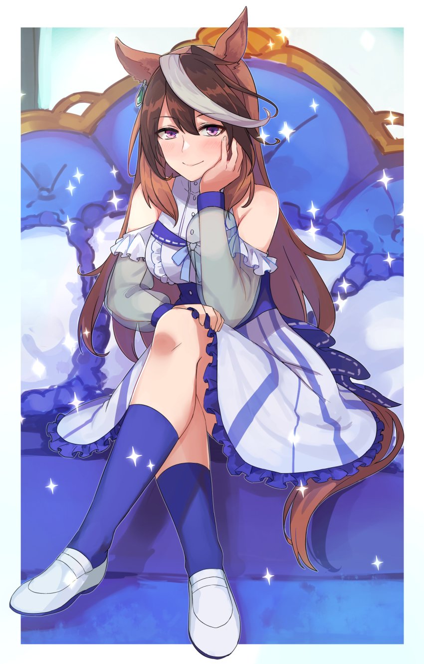 Symboli Rudolf (Umamusume) Rule 34 Image