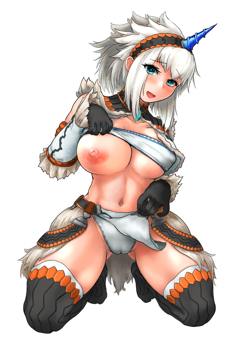Monster Hunter (Series) Rule 34 Image