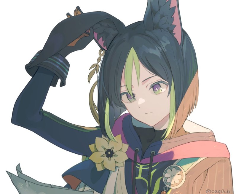 Tighnari (Genshin Impact) Rule 34 Image