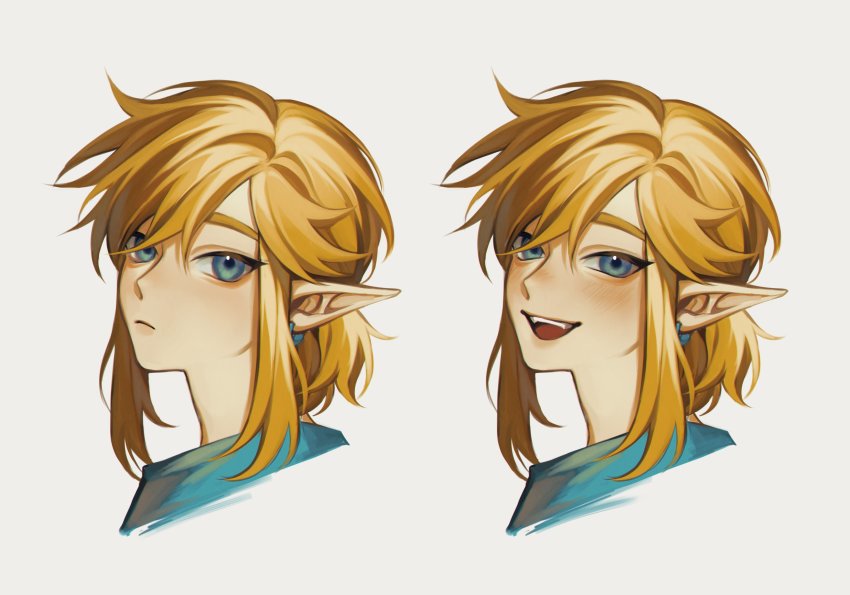 Link (Nintendo) Rule 34 Image