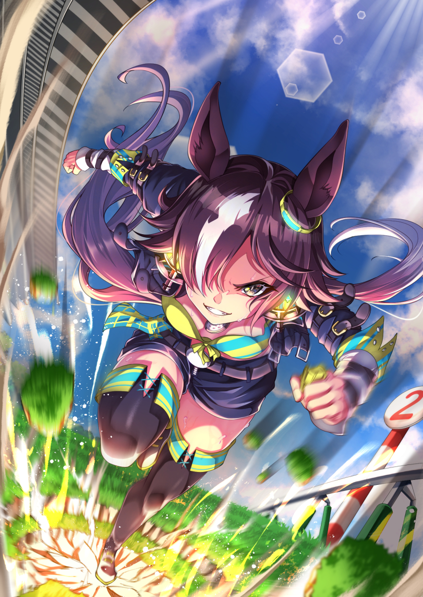 Vodka (Umamusume) Rule 34 Image