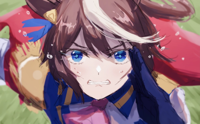Tokai Teio (Umamusume) Rule 34 Image