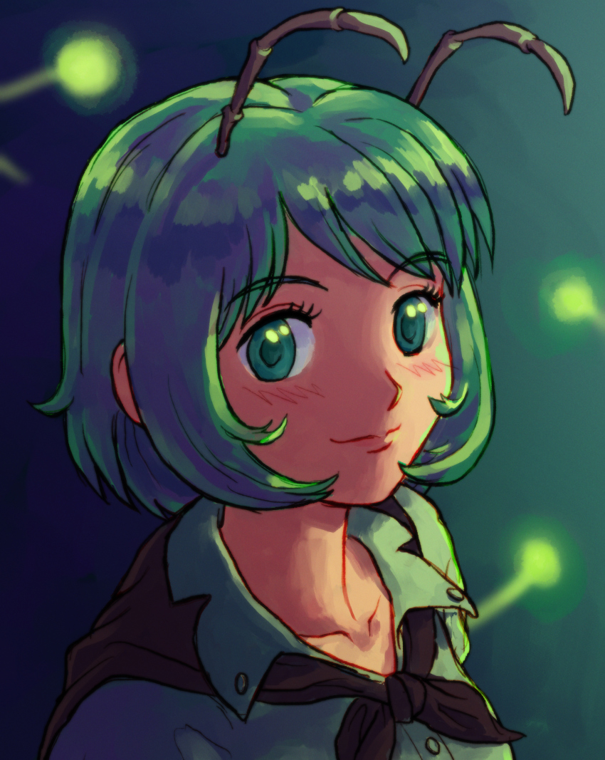 Wriggle Nightbug (Touhou) Rule 34 Image